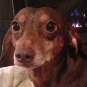 Meet your Posher, Jaime